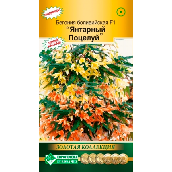 Бегония ЯНТАРНЫЙ ПОЦЕЛУЙ боливийская F1 (5 драже)