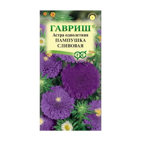 Га019931 Астра Пампушка сливовая, однолетняя (помпонная) 0,3 г DH