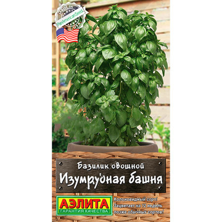 Базилик овощной Изумрудная башня