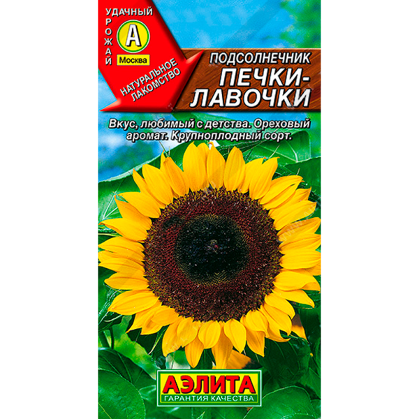 Подсолнечник Печки лавочки