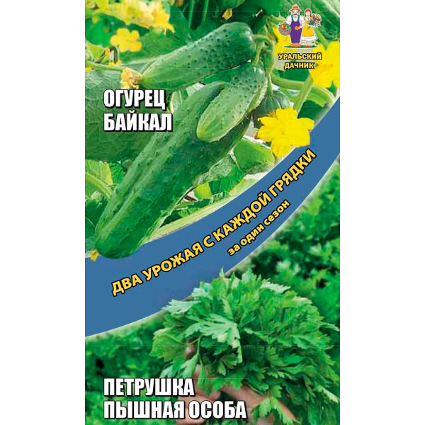 Огурец Байкал - корнишон + Петрушка Пышная особа