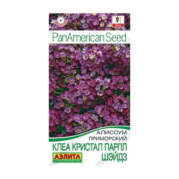 02Аэ1634 Алиссум Клеа кристал парпл шэйдз