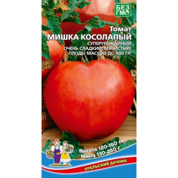 Томат Мишка косолапый