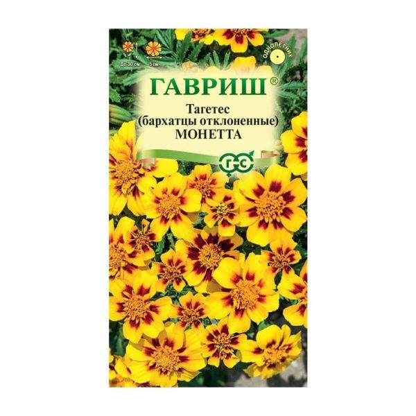 Га019972 Бархатцы откл. Монетта (Тагетес) 0,3 г DH