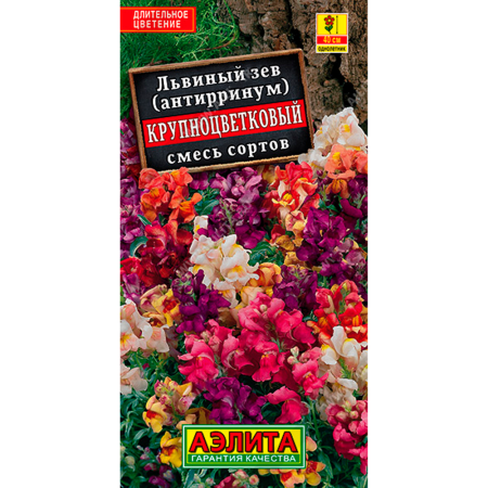 Львиный зев Крупноцветковый, смесь сортов