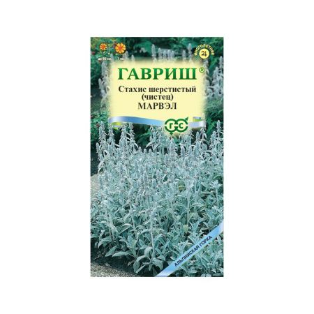 Га019879 Чистец византийский (Стахис) Марвэл 0,05 г  серия Альпийская горка