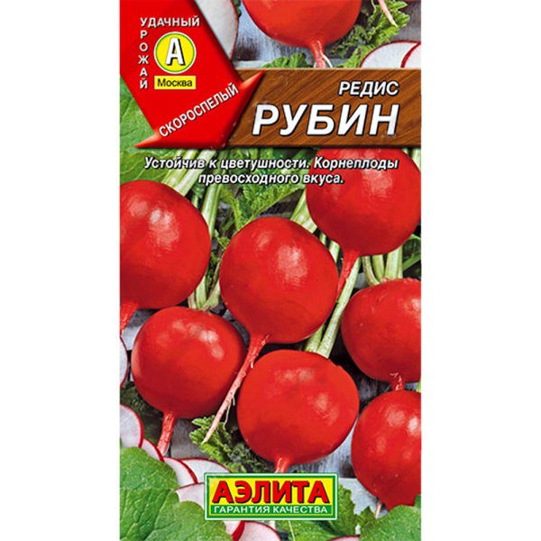 Редис Рубин