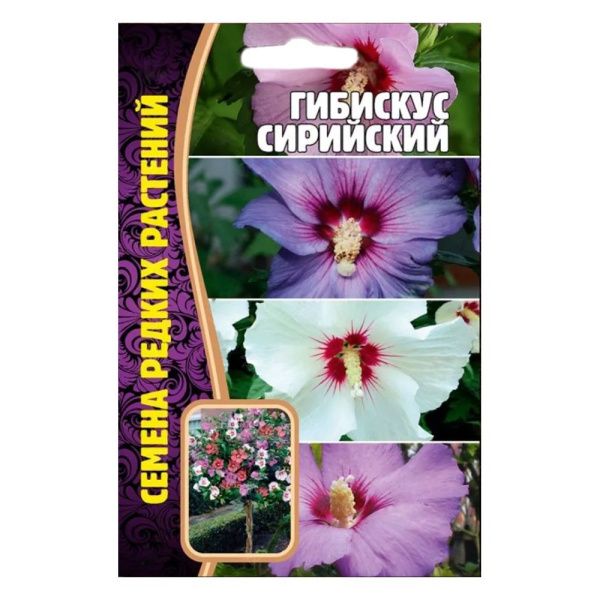 02Гр2978 Гибискус Сирийский 7 шт. NDS
