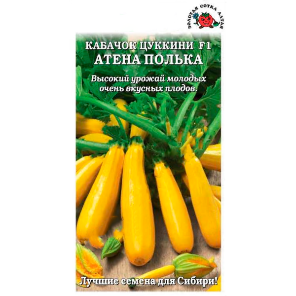 Кабачок Атена Полька