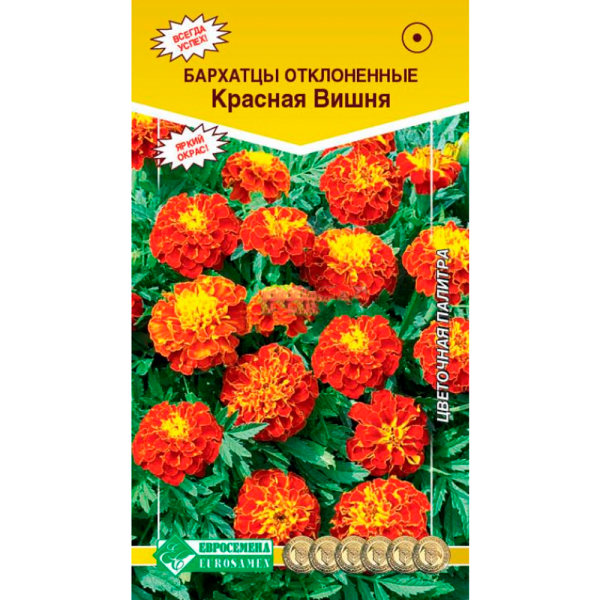 Бархатцы КРАСНАЯ ВИШНЯ отклоненные (0,2 гр)