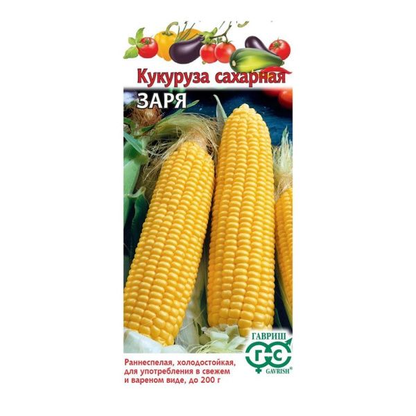 01Га4317 Кукуруза Заря 5 г