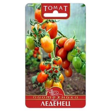 02Би3092 Томат Леденец  NDS