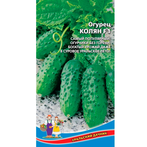Огурец Колян F1