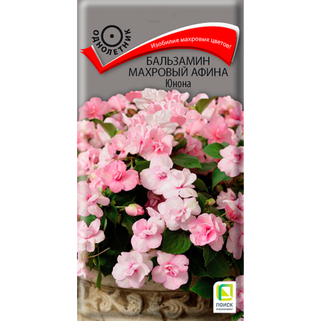 Бальзамин махровый Афина Юнона (ЦВ) (1) 5шт