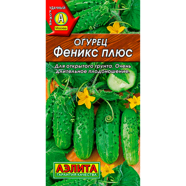 Огурец Феникс плюс