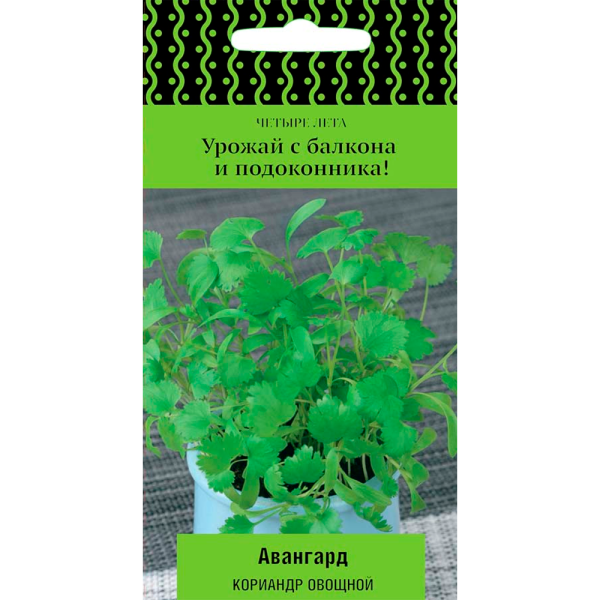 Кориандр овощной Авангард (сер.Четыре лета) (А) (ЦВ) 1 гр