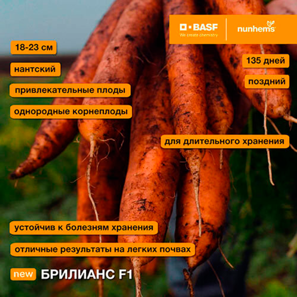 Морковь Брилианс F1