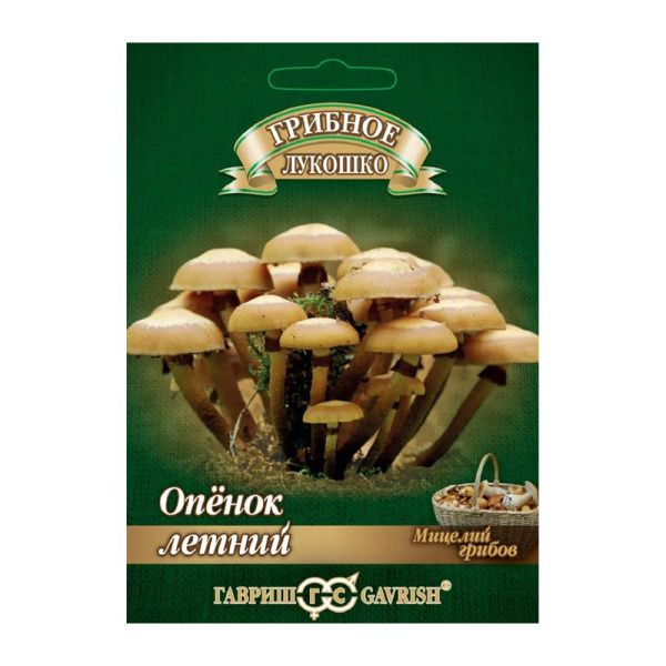 Га014156 Опенок летний на древесной палочке, больш. пак. 12 шт