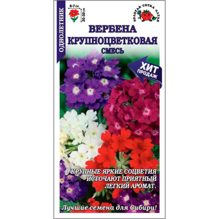 Вербена Крупноцветковая смесь
