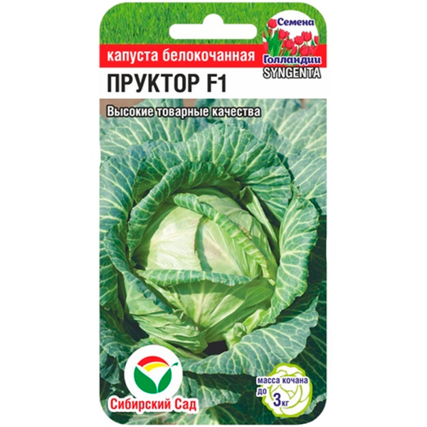 Капуста белокочанная Пруктор F1 10шт (Сиб Сад)