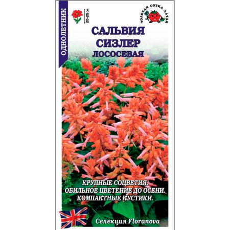 Сальвия Сизлер Лососевая