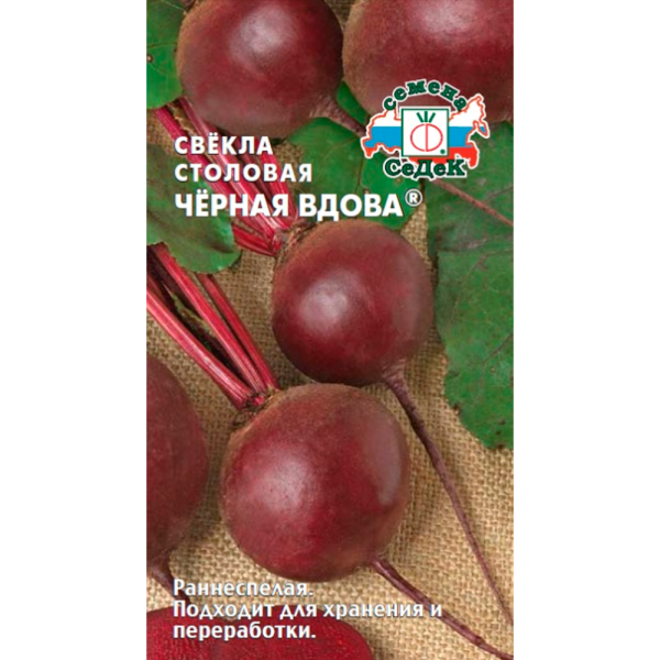 свёкла Чёрная Вдова (столовая)