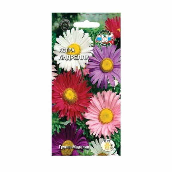 02Се4889 Астра Андрелла (Маделин)