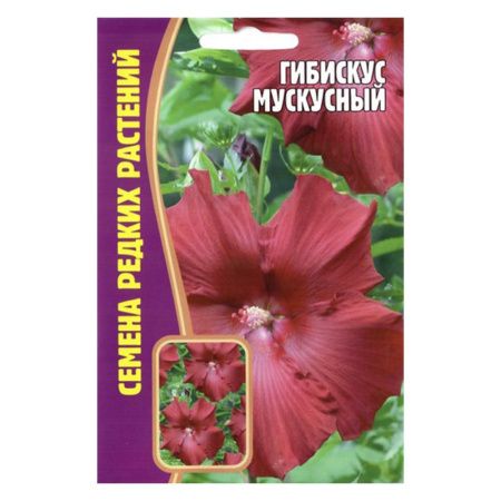 02Гр2977 Гибискус Мускусный 5 шт. NDS