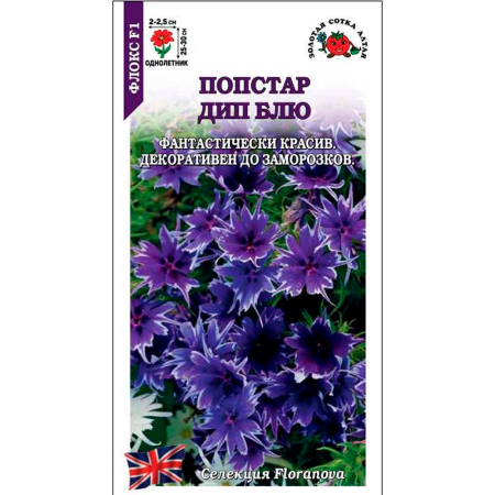 Флокс Попстар Дип Блю