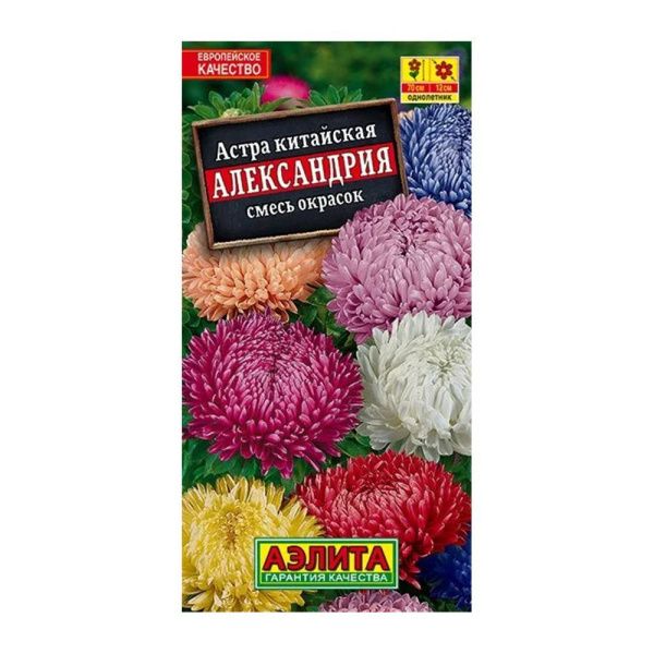 02Аэ1374 Астра Александрия, смесь сортов