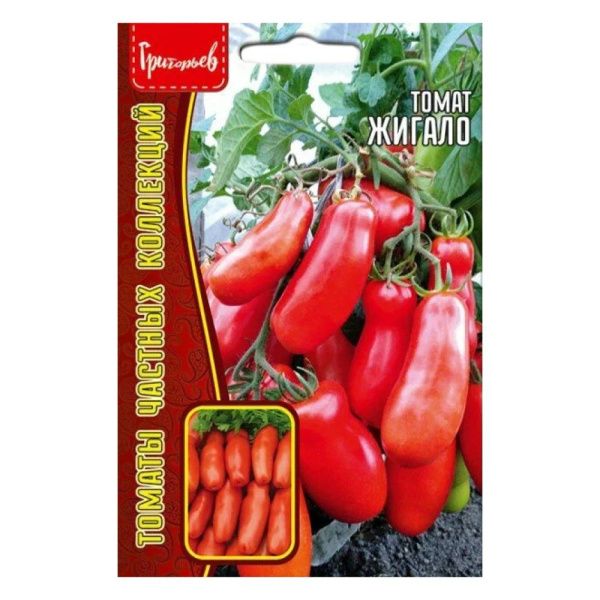 02Гр3199 Томат Жигало 10 шт. NDS