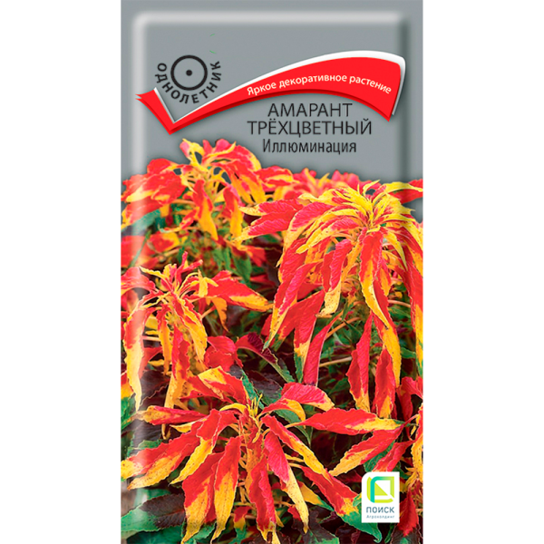 Амарант трехцветный Иллюминация (ЦВ) (1) 0,1гр
