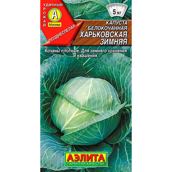 Капуста Харьковская зимняя