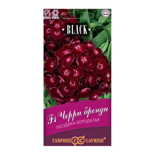 Га014463 Гвоздика бородатая (турецкая) Черри бренди F1 4 шт. пробирка серия Блэк