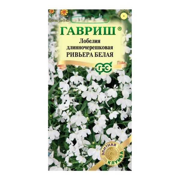 Га010071 Лобелия Ривьера Белая  4 шт. пробирка сер. Элитная клумба