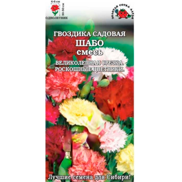 Гвоздика Шабо смесь