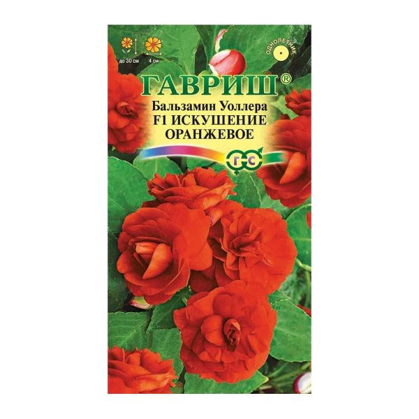Га010179 Бальзамин Искушение оранжевое F1 (Уоллера) 4 шт