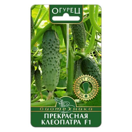 02Би2922 Огурец  Прекрасная Клеопатра F1 NDS