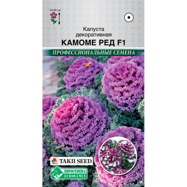 Капуста КАМОМЕ Ред F1 декоративная