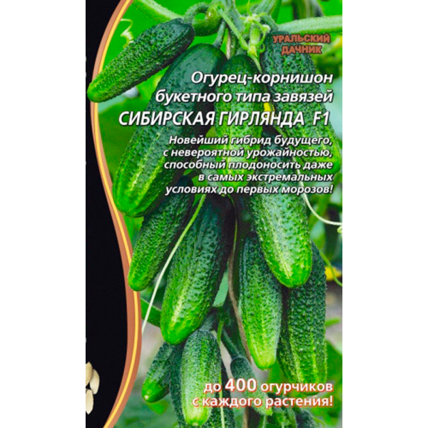 Огурец Сибирская гирлянда F1