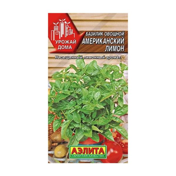 02Аэ0962 Базилик овощной Американский лимон
