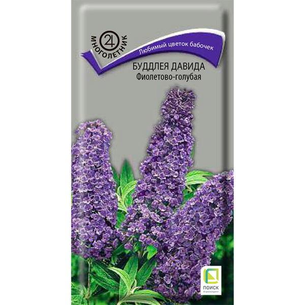 Буддлея Давида Фиолетово-голубая (ЦВ) (М) 0,01гр