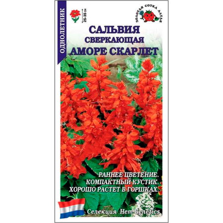 Сальвия Аморе Скарлет