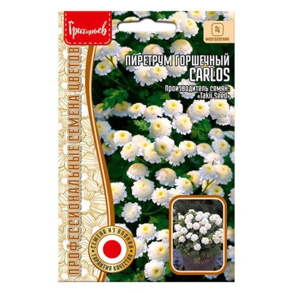 02Гр3151 Пиретрум горшечный Carlos  10шт. NDS