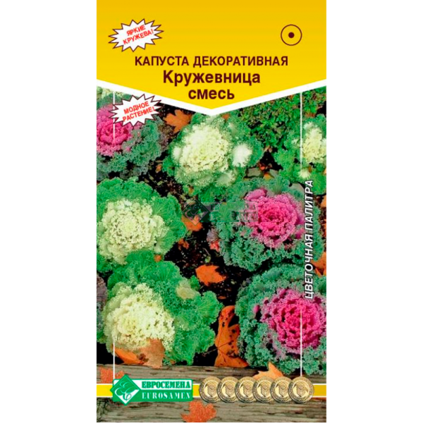 Капуста декоративная КРУЖЕВНИЦА, смесь