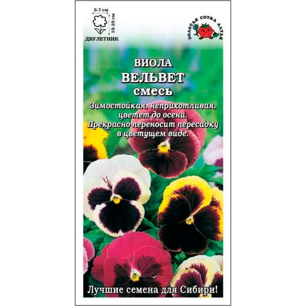 Виола Вельвет