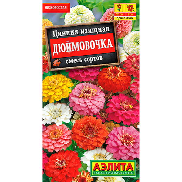 Циния Дюймовочка, смесь