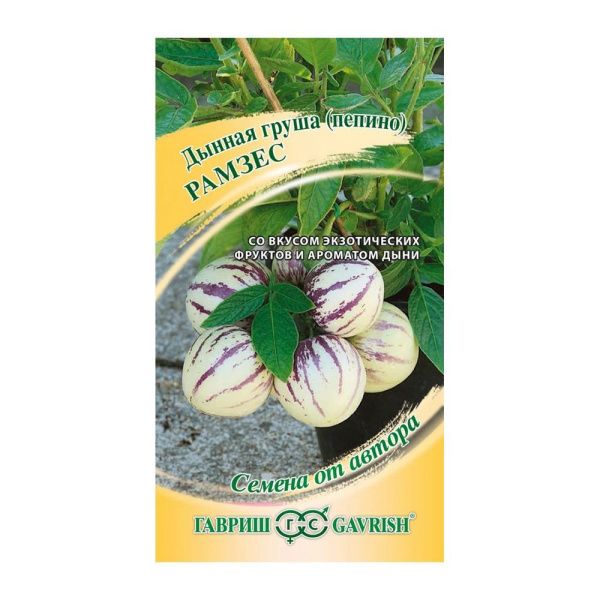 Га031729 Пепино Рамзес 5 шт. автор.