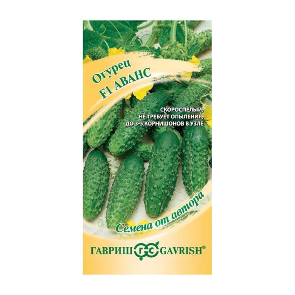 Га013475 Огурец F1 Аванс  Гавриш