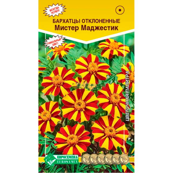 Бархатцы МИСТЕР МАДЖЕСТИК, отклоненные (20 шт)